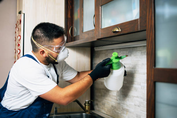 Best Local Pest Control Services  in Indianola, WA