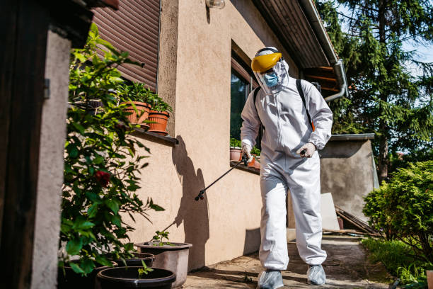 Best Pest Inspection Near Me  in Indianola, WA
