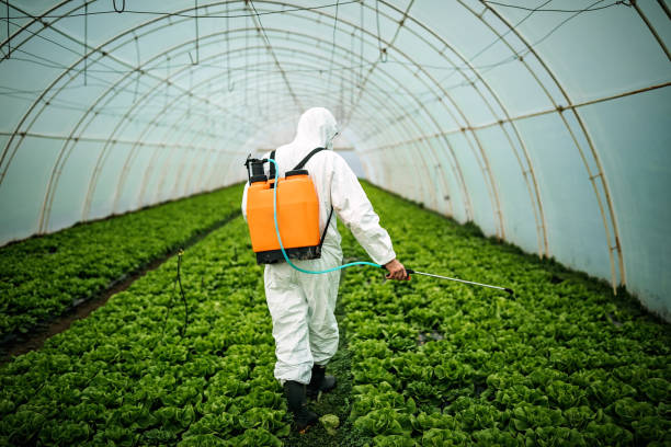 Best Residential Pest Control  in Indianola, WA