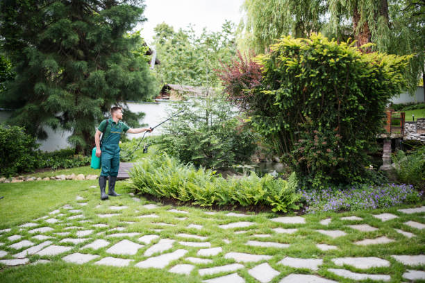 Reliable Indianola, WA Pest Control Solutions