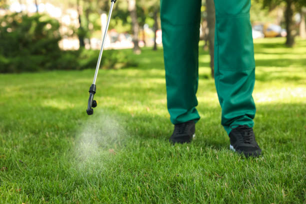 Best Bed Bug Extermination  in Indianola, WA