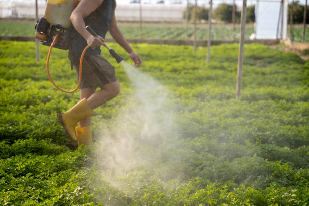 Best Affordable Exterminators  in Indianola, WA
