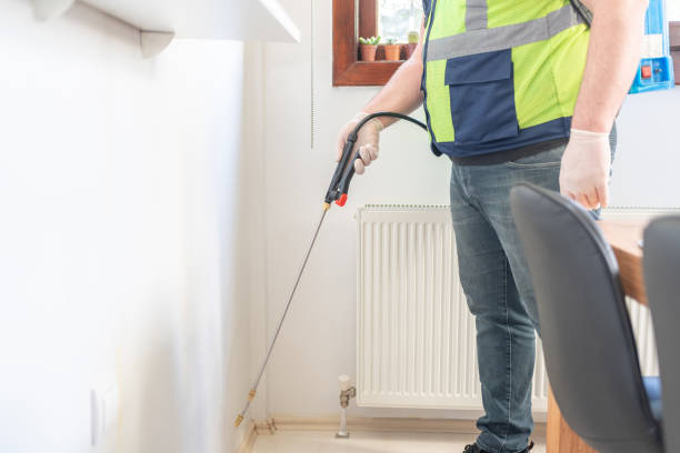 Best Wasp Removal Services  in Indianola, WA