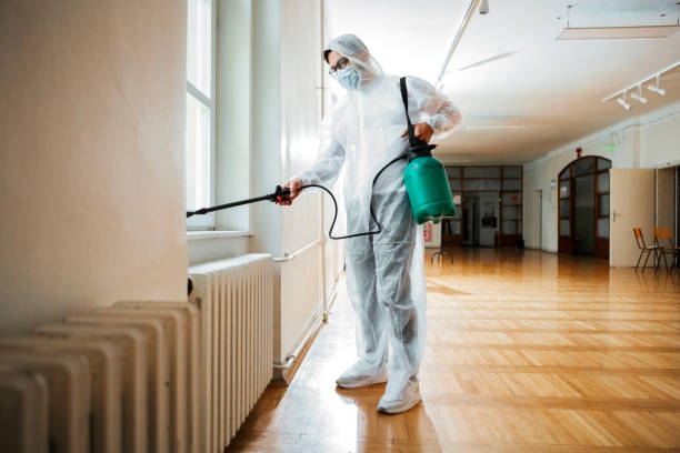 Best Pest Control Near Me  in Indianola, WA