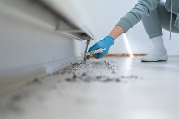 Best Best Pest Control Companies  in Indianola, WA